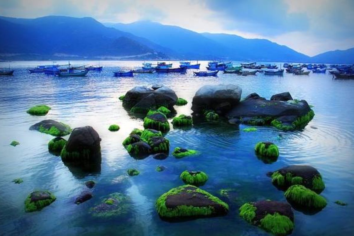 Bãi đá rêu xanh tại Đảo Bình Hưng Nha Trang với làn nước biển trong vắt  (2)