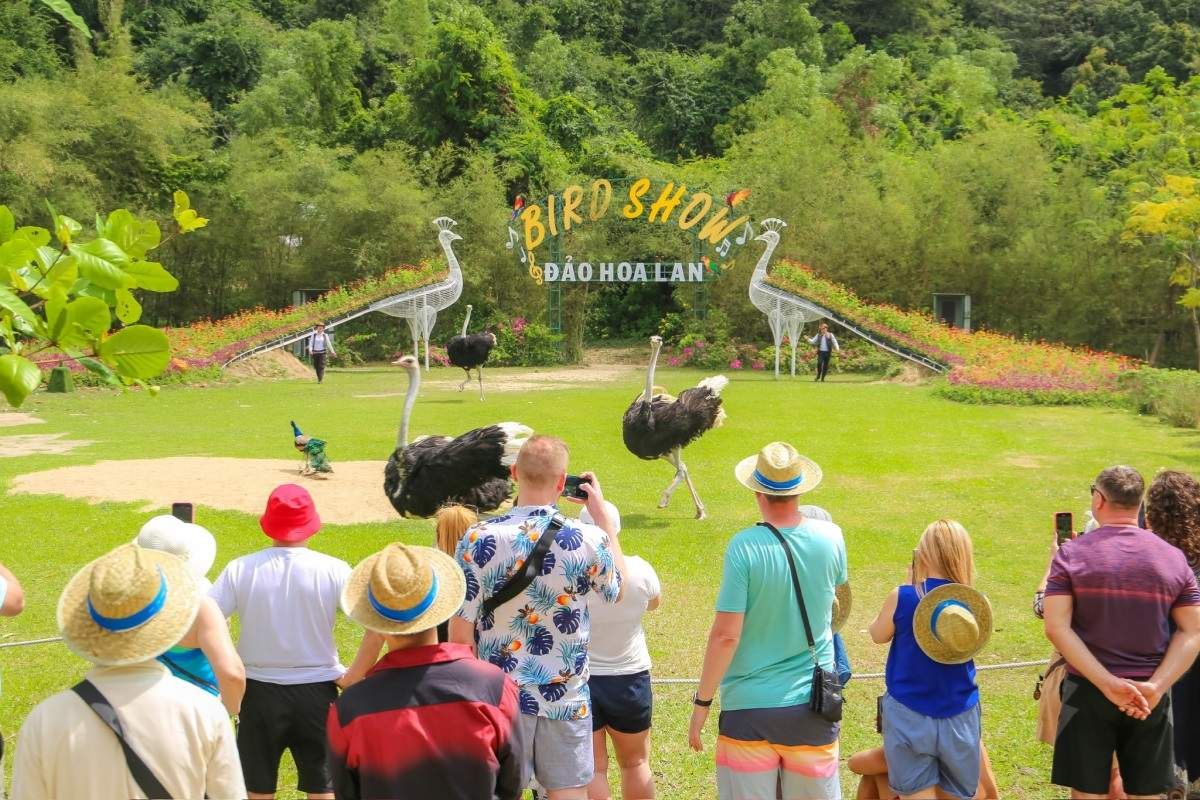 Du khách xem biểu diễn Bird Show tại Đảo Hoa Lan Nha Trang hấp dẫn