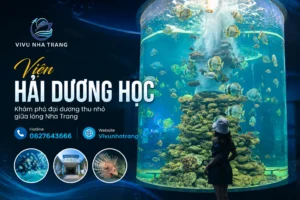 Viện Hải Dương Học Nha Trang với bể cá đại dương khổng lồ thu hút du khách tham quan tại Khánh Hòa