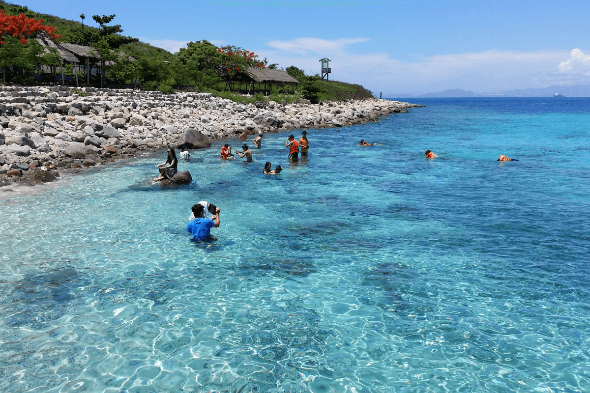 San hô nhiều màu sắc dưới biển Nha Trang 