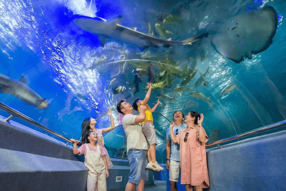 Khám phá thế giới đại dương tại Viện Hải dương học Nha Trang - Vivu Nha Trang