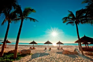 KHÁM PHÁ FAIRY LAND – LẠC VÀO THẾ GIỚI CỔ TÍCH GIỮA LÒNG VINWONDERS NHA TRANG 2026: KINH NGHIỆM ĐI TỰ TÚC THẢNH THƠI
