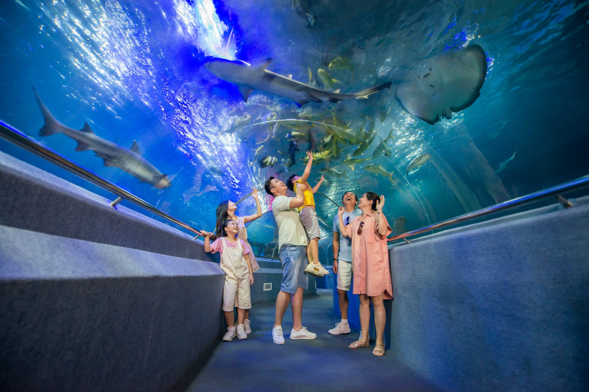 Thủy cung Sea World
