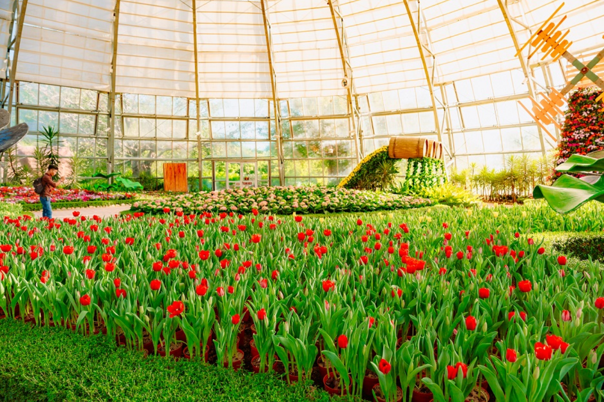 World Garden tại VinWonders Nha Trang