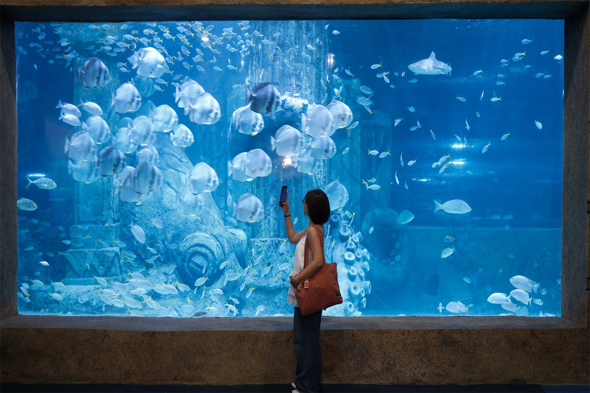 Du khách tham quan thủy cung với hàng trăm loài cá biển tại vinpearl land nha trang giữa không gian đại dương xanh rực rỡ