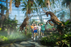 CẨM NANG VUI CHƠI VINWONDERS NHA TRANG TỰ TÚC 2026: LỊCH TRÌNH PHÁ ĐẢO VƯƠNG QUỐC KỶ LỤC TỪ A-Z