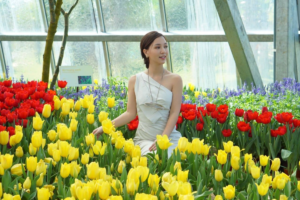 Du khách check in với hoa tulip tại Đồi Vạn Hoa VinWonders (Ảnh_Sưu tầm)