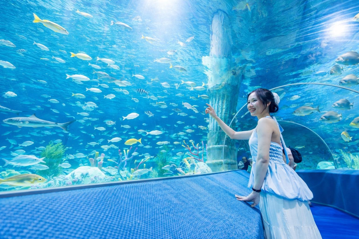 Đường Nguyễn Thiện Thuật cũng là con đường khá nổi tiếng tại khu phố Tây Nha Trang. 
