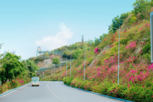 CẨM NANG XE ĐIỆN VINPEARL NHA TRANG 2026 : CẬP NHẬT BẢNG GIÁ & MẸO GỌI XE NHANH NHẤT ĐỠ MỎI CHÂN CHO DÂN TỰ TÚC