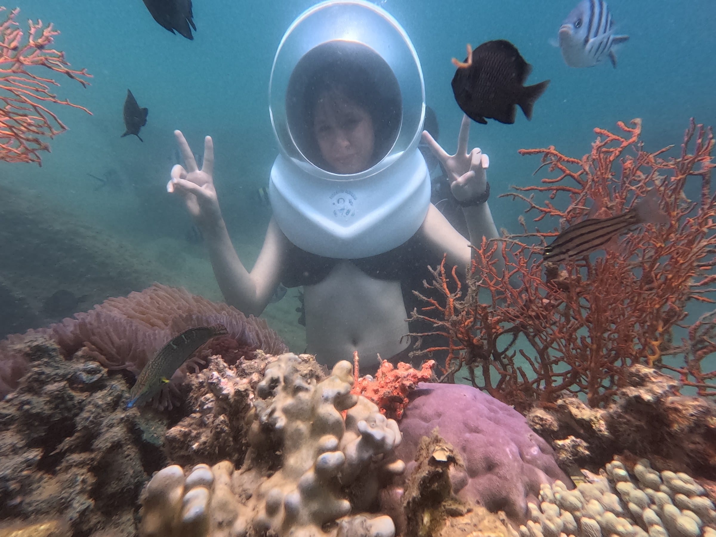 Du khách đội mũ dưỡng khí đi bộ dưới đáy biển Nha Trang