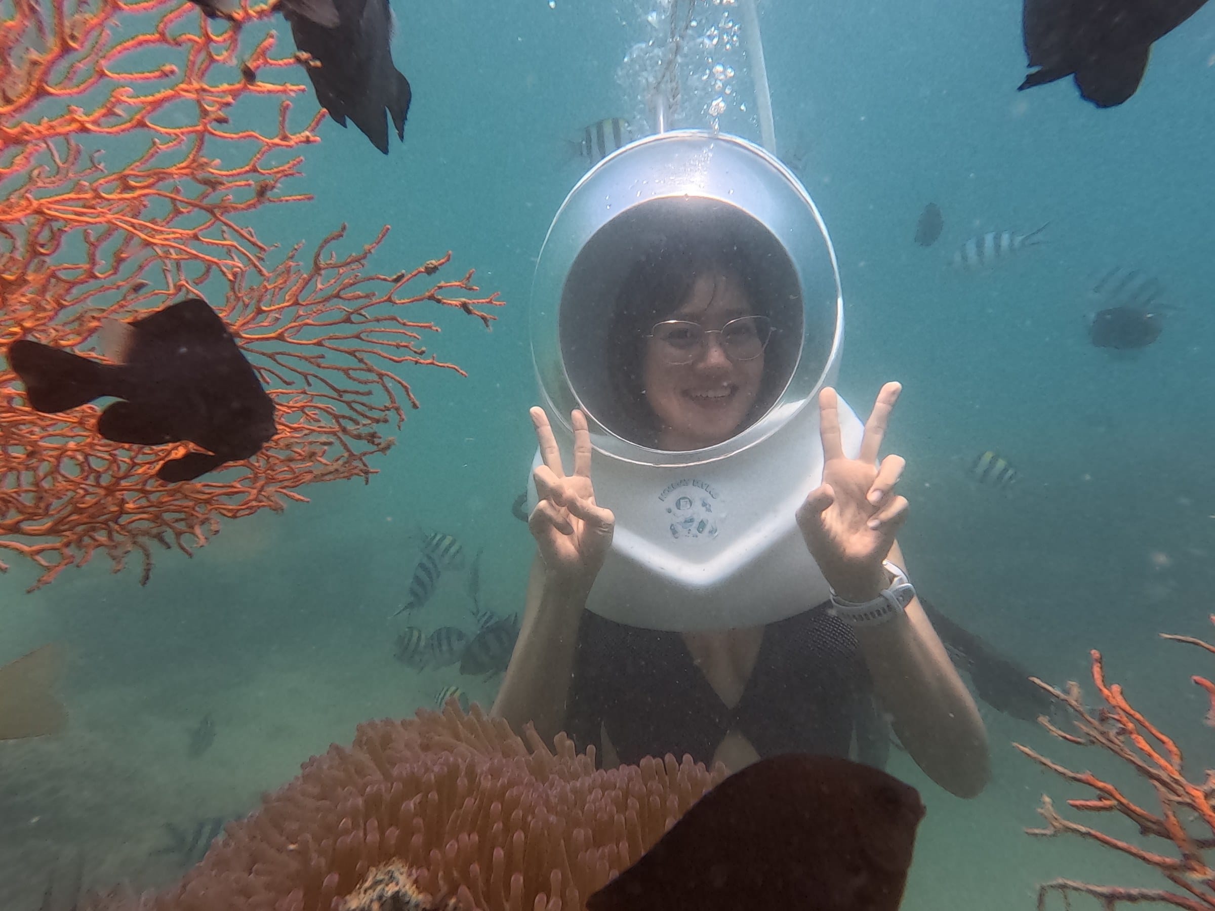 San hô đỏ và cá biển tại vùng lặn Nha Trang