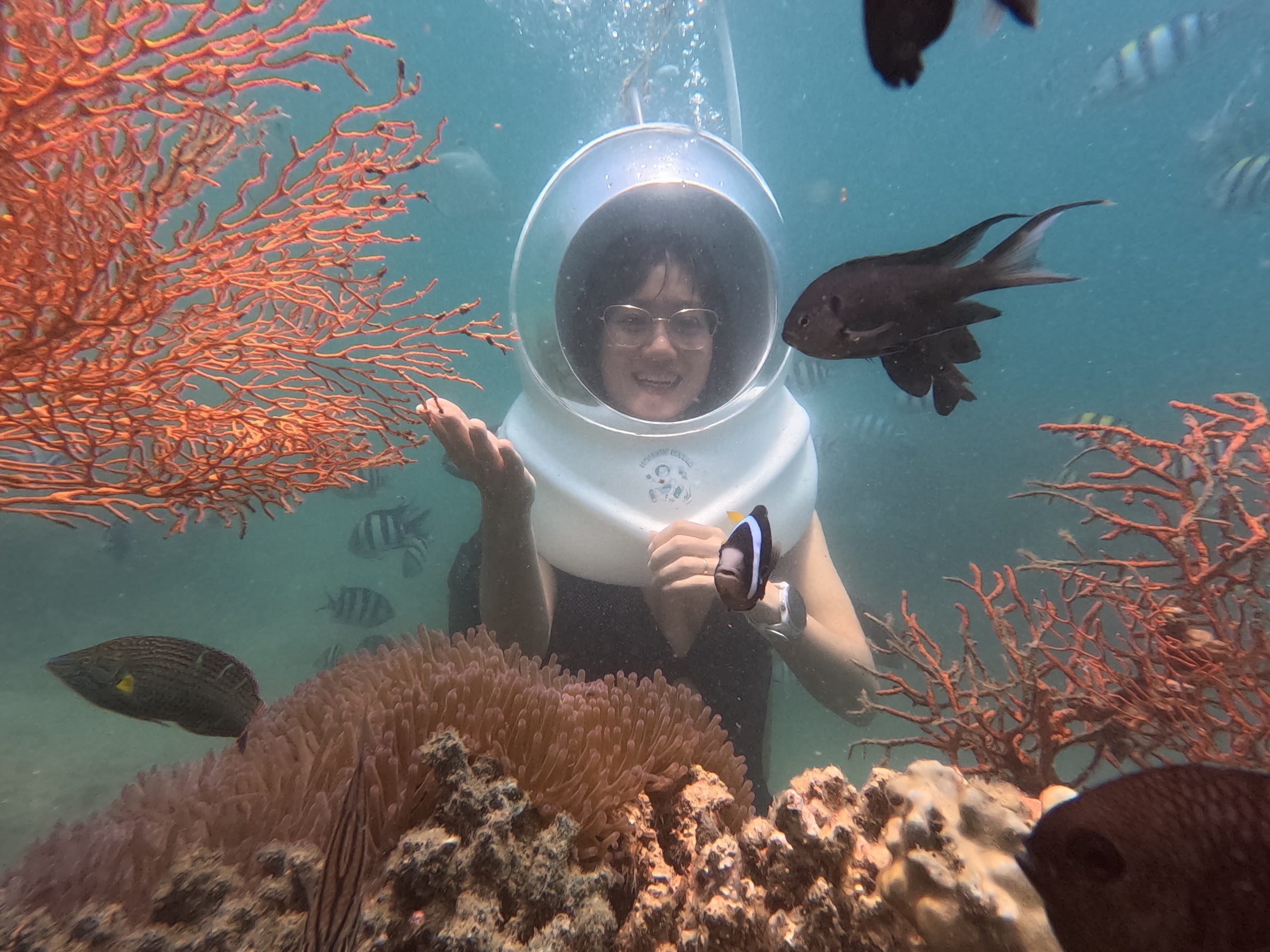 Du khách đi bộ dưới đáy biển Nha Trang giữa rạn san hô