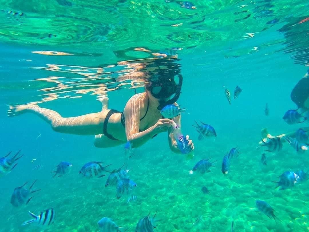 Lặn ống thở ngắm đàn cá tại Hòn Mun Nha Trang